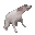 doggodance