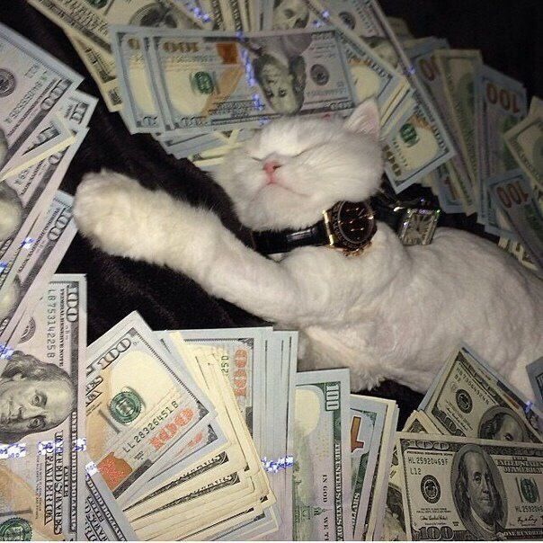 Avatar: money