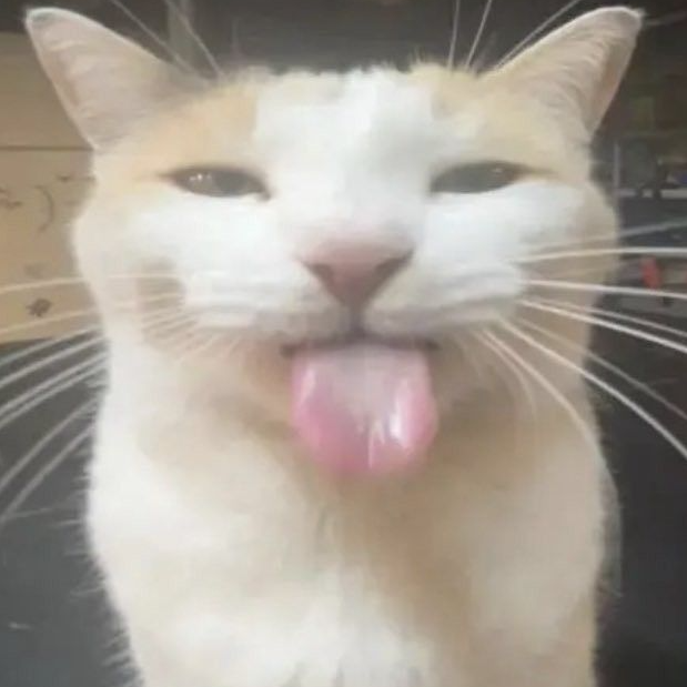 Avatar: owo