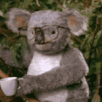 Avatar: Koalas